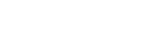 logo_digitalhearts